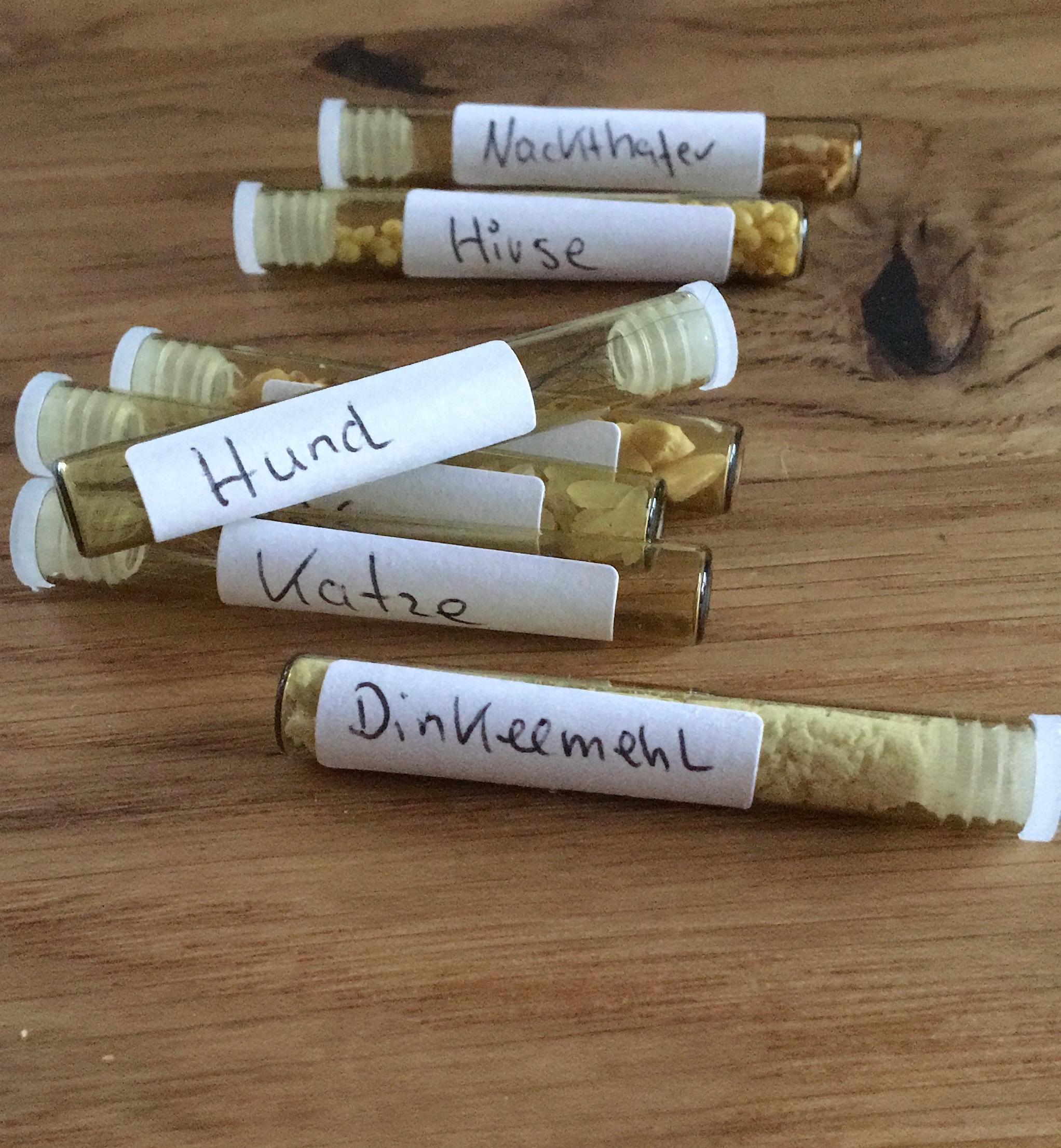 Praxisraum für kinesiologische Behandlung